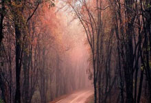 阿根廷力克乌拉圭，晋级美洲杯四强