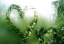 黑马涌现！布鲁日晋级欧冠四强