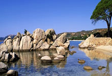 莱比锡逆转马竞，晋级欧冠半决赛